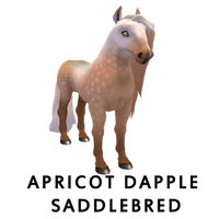 Apricot Dapple Saddlebred