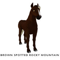 Brown Spotted Rocky Mountain