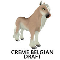 Creme Belgian Draft