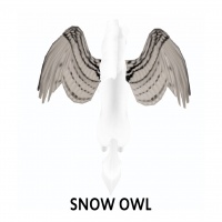 Snow Owl