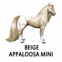 Beige Appaloosa Mini