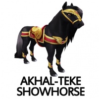 Akhal-Teke Showhorse