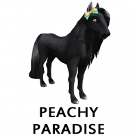 Bow Peachy Paradise