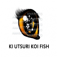 Ki Utsuri Koi Fish