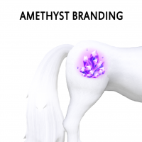 Amethyst Branding