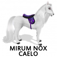 Mirum Nox Caelo