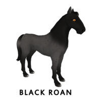 Black Roan