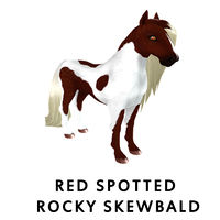 Red Spotted Rocky Skewbald