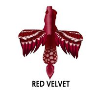 Red Velvet Wing