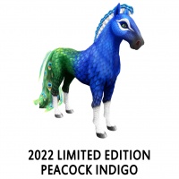 2022 Limited Edition Peacock Indigo