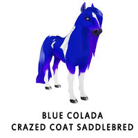 Blue Colada Crazed Coat Saddlebred