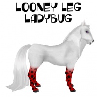 Looney Leg Ladybug