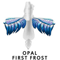 Opal First Frost