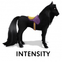 Saddle Intensity