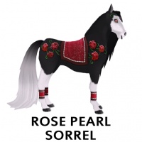 Rose Pearl Sorrel