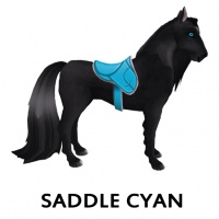 Saddle Cyan