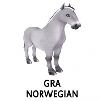 Gra Norwegian