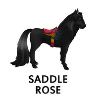 Saddle Rose