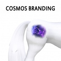 Cosmos Branding