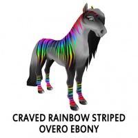 Craved Rainbow Striped Overo Ebony