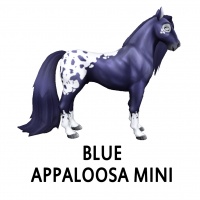 Blue Appaloosa Mini