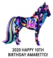 2020 Happy 10th Birthday Amaretto!