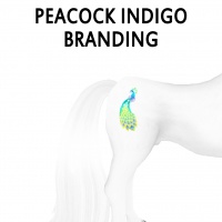 Peacock Indigo