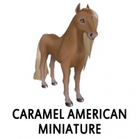 Caramel American Miniature