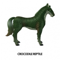 Crocodile Reptile