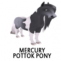 Mercury Pottok Pony