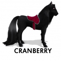 Saddle Cranberry