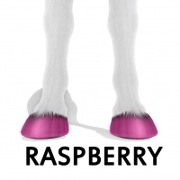 Raspberry