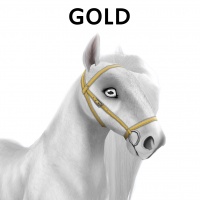 Gold Bridle