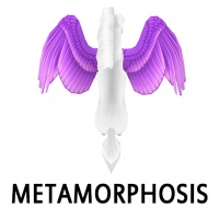 Metamorphosis