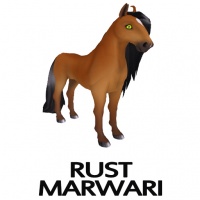 Rust Marwari