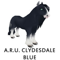 A.R.U. Clydesdale Blue