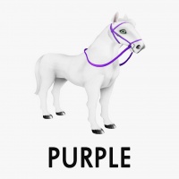 Purple Reins