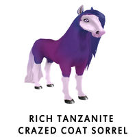 Rich Tanzanite Crazed Coat Sorrel