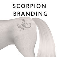 Scorpion Branding