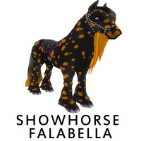 Showhorse Falabella