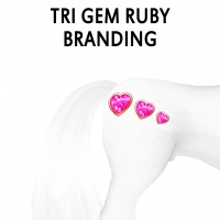 Tri Gem Ruby Branding