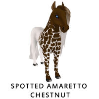 Spotted Amaretto Chestnut