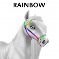 Rainbow Bridle