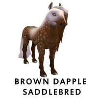 Brown Dapple Saddlebred