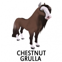 Chestnut Grulla