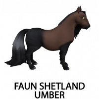 Faun Shetland Umber