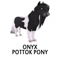 Onyx Pottok Pony