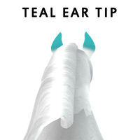 Teal Ear Tip