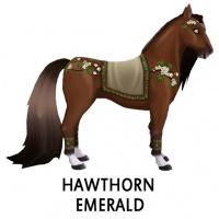 Hawthorn Emerald Akhal-Teke