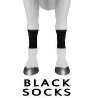 Black Socks